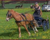 1POSIEUX 0296